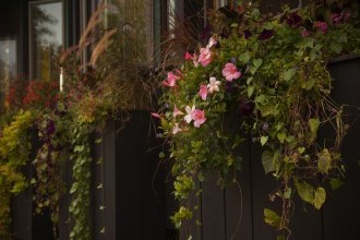 Enjoy our beautiful grounds